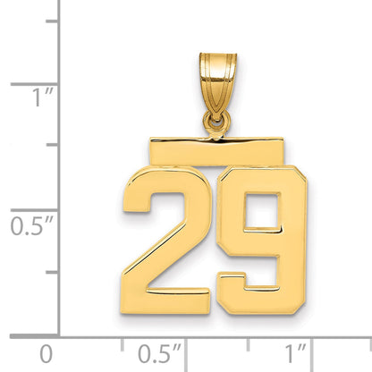 10K Yellow Gold Medium Polished Number 29 Charm