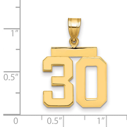 10K Yellow Gold Medium Polished Number 30 Charm