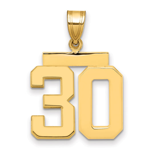 10K Yellow Gold Medium Polished Number 30 Charm