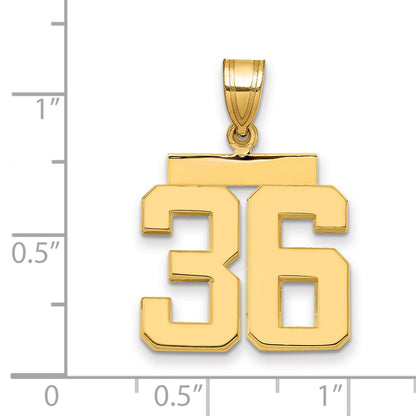 10K Yellow Gold Medium Polished Number 36 Charm