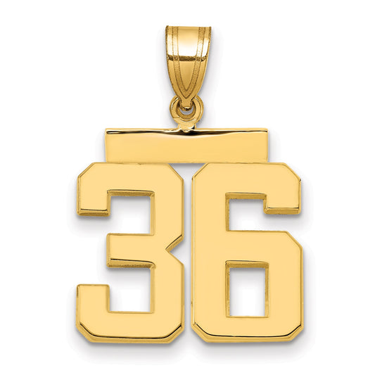 10K Yellow Gold Medium Polished Number 36 Charm