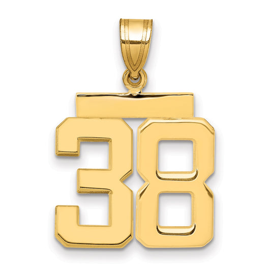 10K Yellow Gold Medium Polished Number 38 Charm