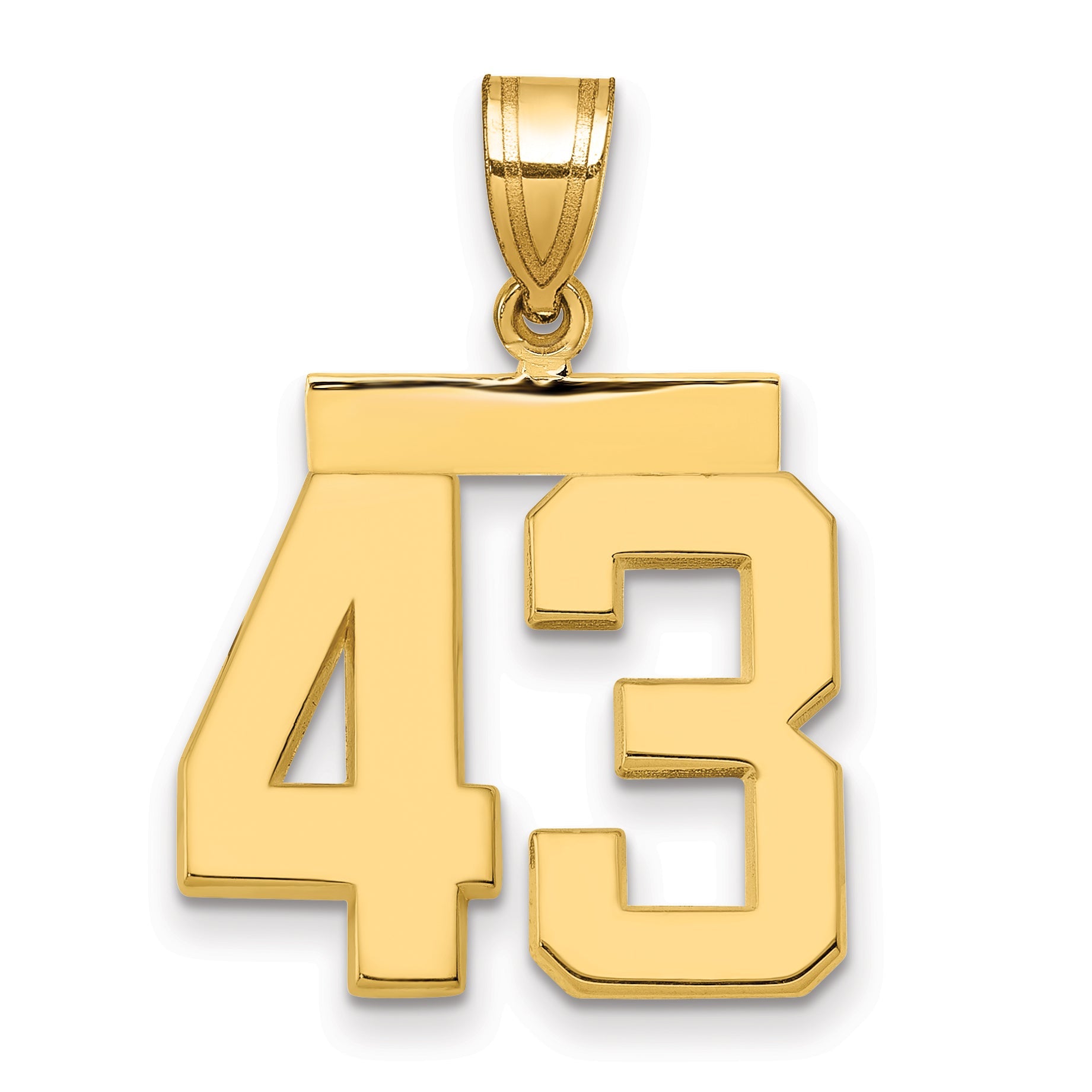 10K Yellow Gold Medium Polished Number 43 Charm