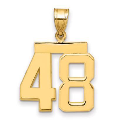 10K Yellow Gold Medium Polished Number 48 Charm
