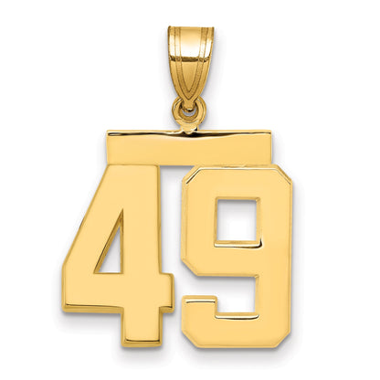 10K Yellow Gold Medium Polished Number 49 Charm