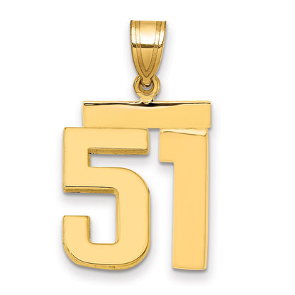 10K Yellow Gold Medium Polished Number 51 Charm
