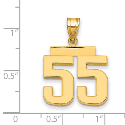 10K Yellow Gold Medium Polished Number 55 Charm