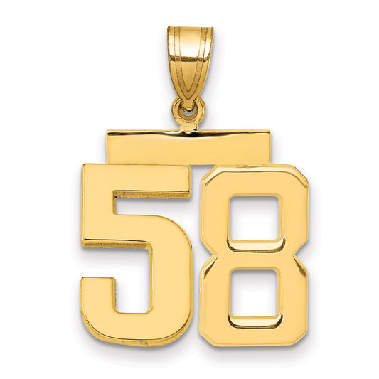 10K Yellow Gold Medium Polished Number 58 Charm