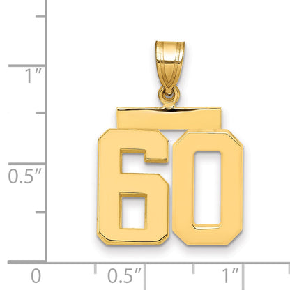 10K Yellow Gold Medium Polished Number 60 Charm