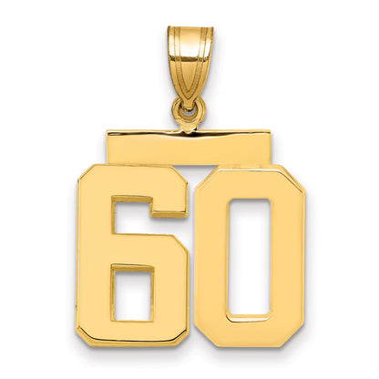 10K Yellow Gold Medium Polished Number 60 Charm