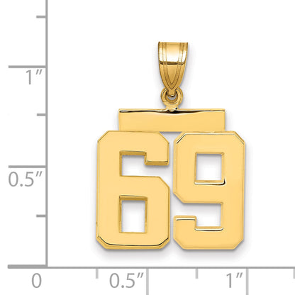10K Yellow Gold Medium Polished Number 69 Charm