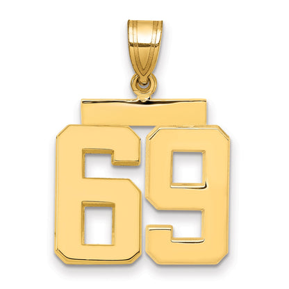 10K Yellow Gold Medium Polished Number 69 Charm
