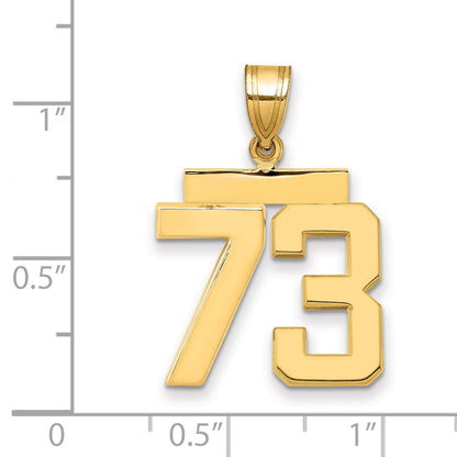 10K Yellow Gold Medium Polished Number 73 Charm