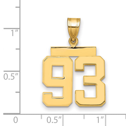 10K Yellow Gold Medium Polished Number 93 Charm