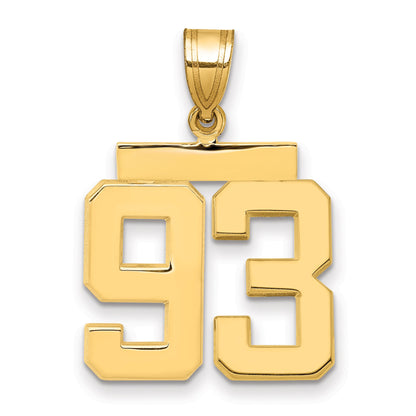 10K Yellow Gold Medium Polished Number 93 Charm