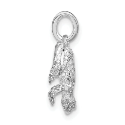 Sterling Silver Polished & Textured Frog Charm