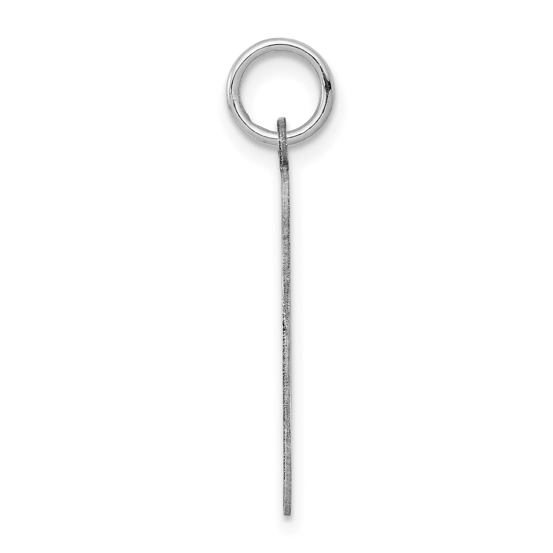 Sterling Silver Rhodium-Plated Greyhound Disc Charm