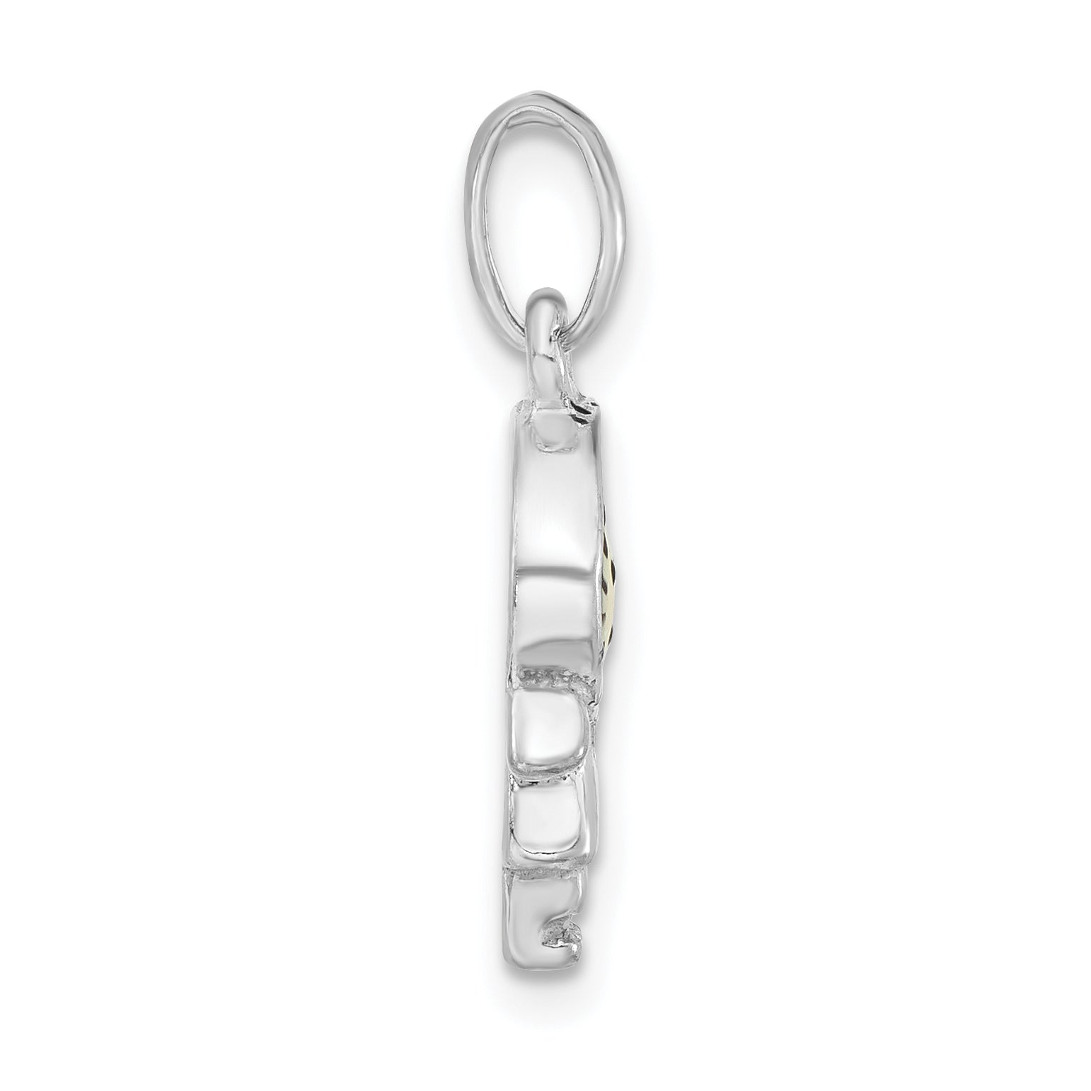 Sterling Silver Polished Enameled Kiwi Person Charm