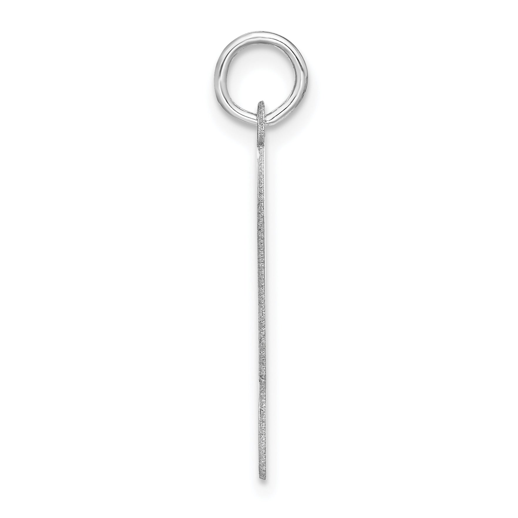 Sterling Silver Rhodium-Plated Personalizable Birth Certificate Charm