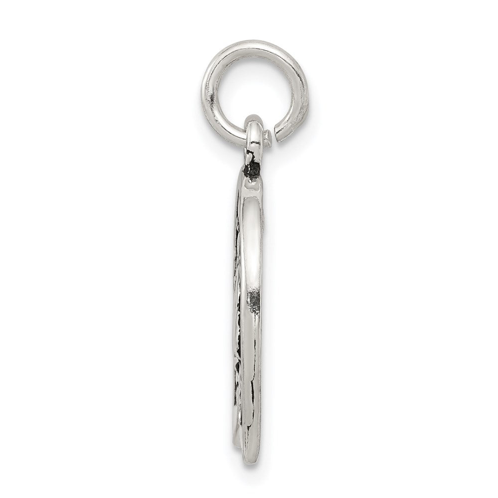 Sterling Silver Antiqued Horseshoe With Horse Head Charm