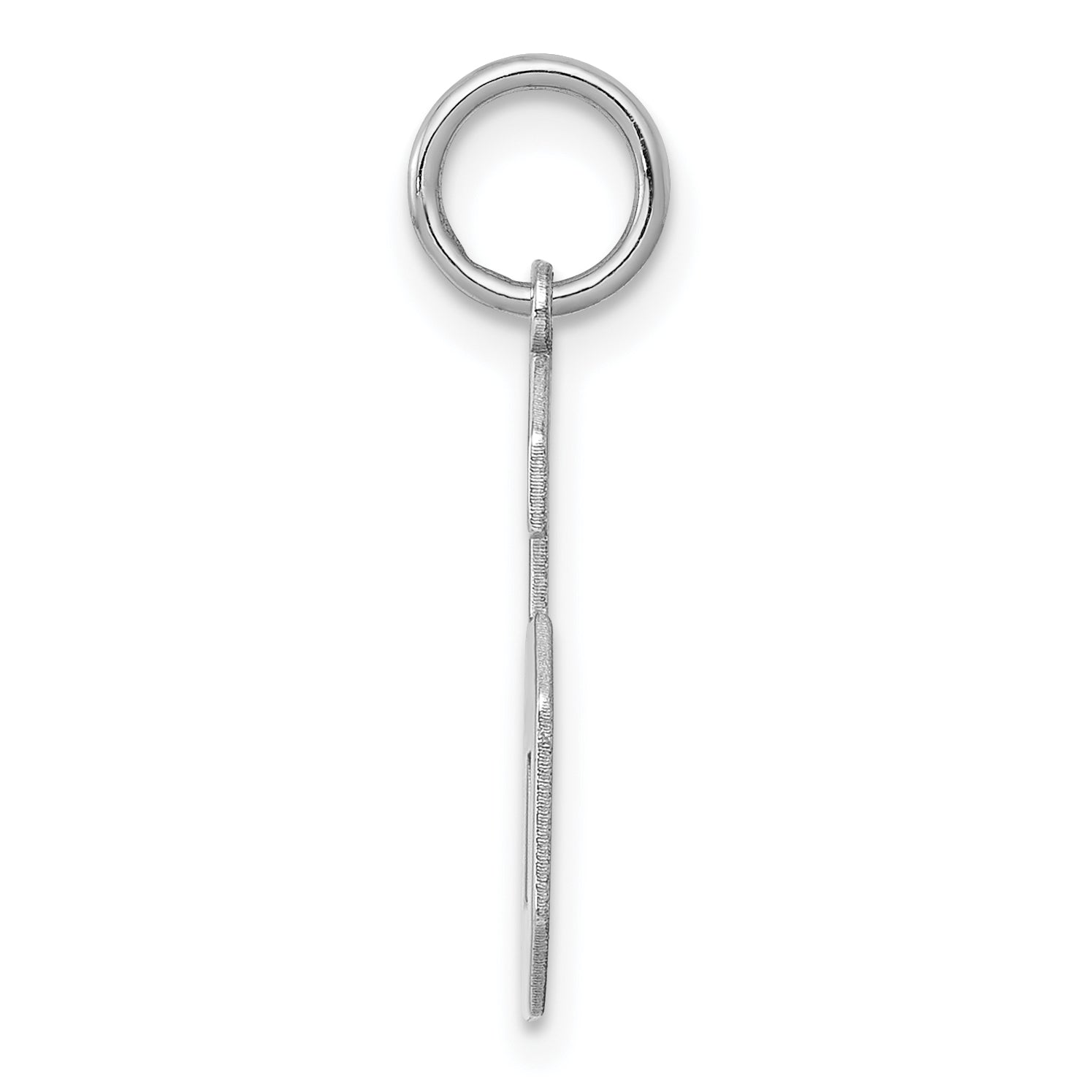 Sterling Silver Silver/Rhodium-Plated Polished Number 6 Charm