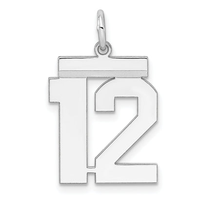 Sterling Silver Sterling/Silver Rhodium-Plated Polished Number 12 Charm