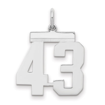 Sterling Silver Sterling/Silver Rhodium-Plated Polished Number 43 Charm