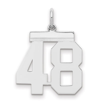 Sterling Silver Sterling/Silver Rhodium-Plated Polished Number 48 Charm