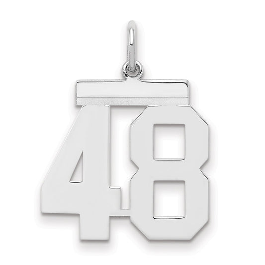 Sterling Silver Sterling/Silver Rhodium-Plated Polished Number 48 Charm
