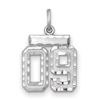 Sterling Silver Rhodium-Plated Small Diamond-Cut #09 Charm