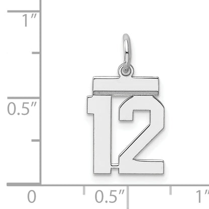 Sterling Silver Silver/Rhodium-Plated Polished Number 12 Charm