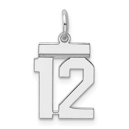 Sterling Silver Silver/Rhodium-Plated Polished Number 12 Charm