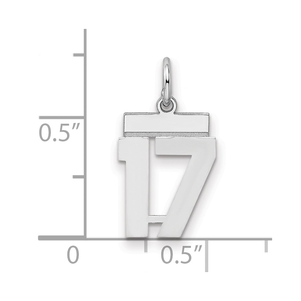 Sterling Silver Silver/Rhodium-Plated Polished Number 17 Charm