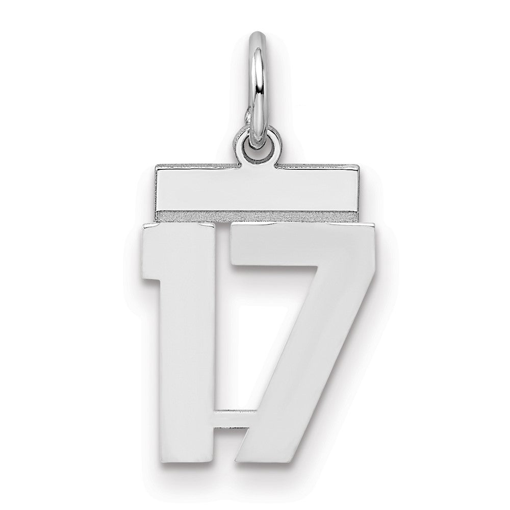 Sterling Silver Silver/Rhodium-Plated Polished Number 17 Charm