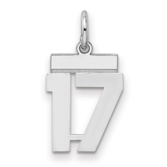 Sterling Silver Silver/Rhodium-Plated Polished Number 17 Charm