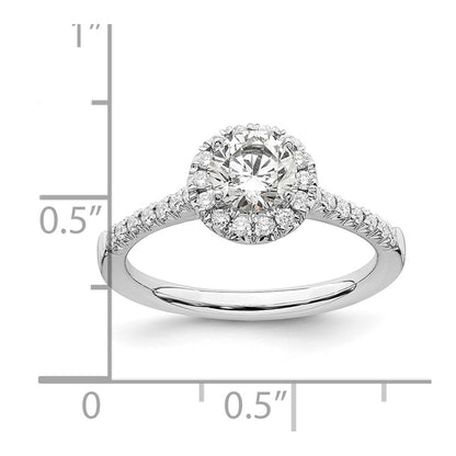 14K White Gold True Origin 1/4 Carat Lab Grown Diamond Vs D E F Semi Mount Round Halo Engagement Ring