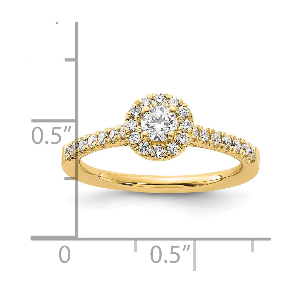 14k Yellow Gold 1/2 Ct. Lab Grown Diamond VS/SI+ G+ Round Halo Engagement Ring