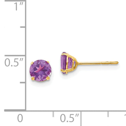 14K Yellow Gold Madi K Round Amethyst 5mm Post Earrings