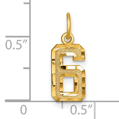 14K Yellow Gold Small Brushed Diamond-Cut Number 6 Charm