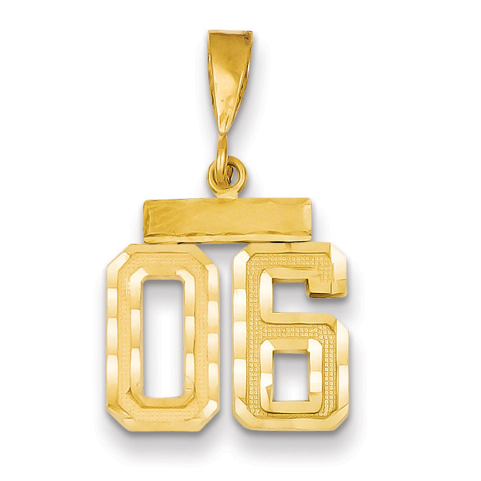14K Yellow Gold Small Diamond-Cut Number 06 On Top Charm