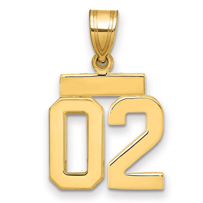 10K Yellow Gold Small Polished Number 02 Charm