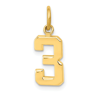 14K Yellow Gold Small Polished Number 3 Charm