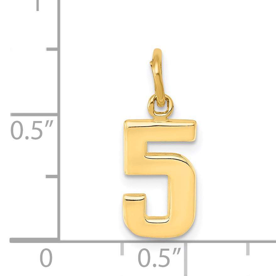 14K Yellow Gold Small Polished Number 5 Charm