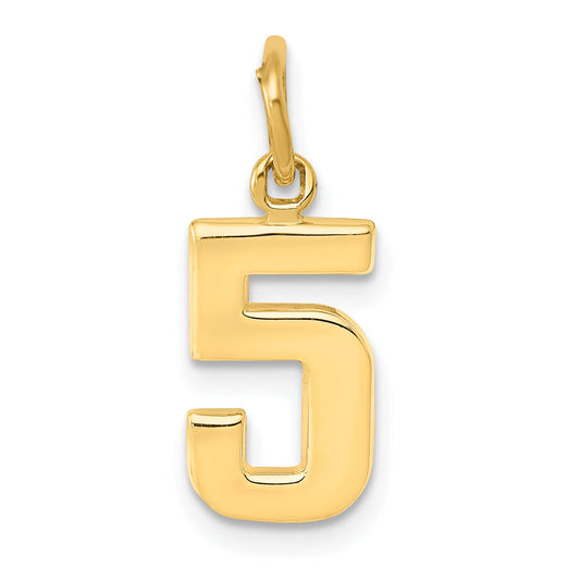 14K Yellow Gold Small Polished Number 5 Charm