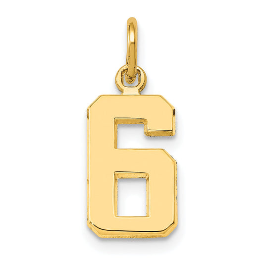 14K Yellow Gold Small Polished Number 6 Charm