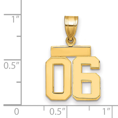 10K Yellow Gold Small Polished Number 06 Charm
