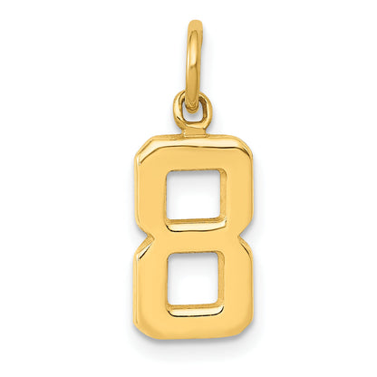 14K Yellow Gold Small Polished Number 8 Charm