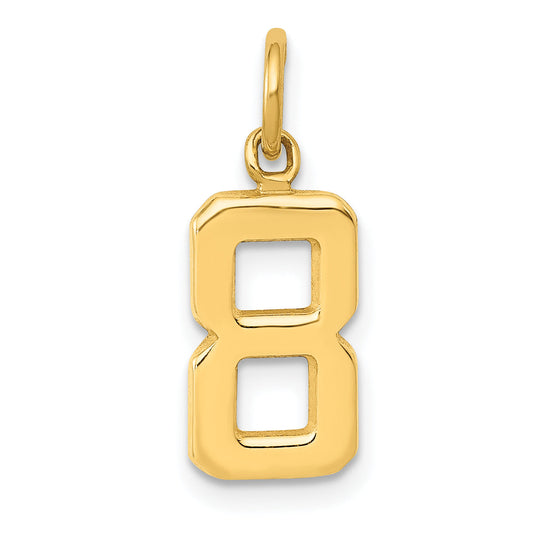 14K Yellow Gold Small Polished Number 8 Charm