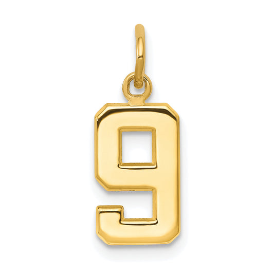 14K Yellow Gold Small Polished Number 9 Charm