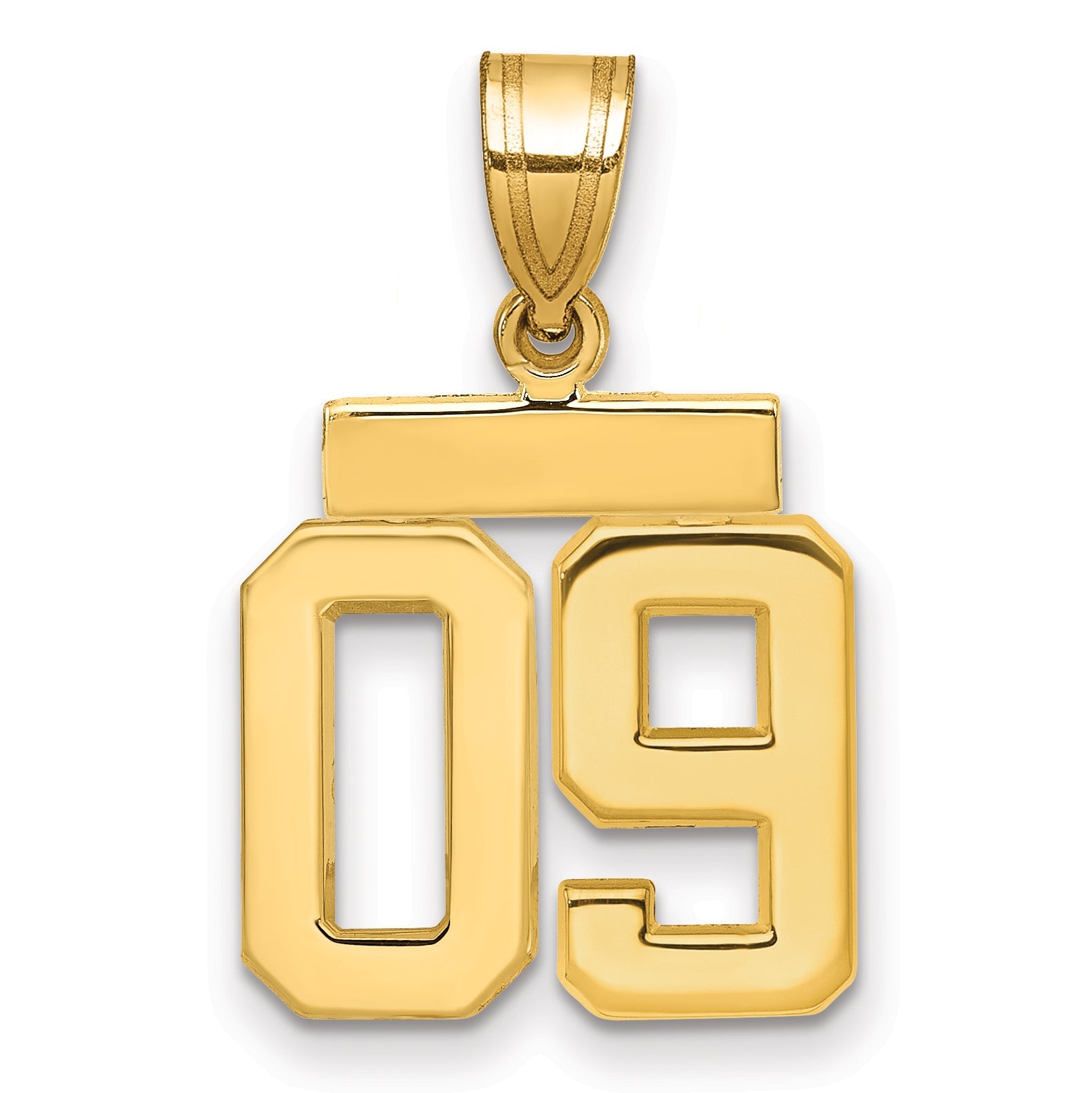 10K Yellow Gold Small Polished Number 09 Charm